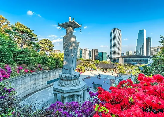 Gangnamprivateroom&bath Subway2minplasticrecovery ホテル ソウル特別市